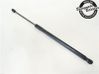 Tailgate strut 1848164