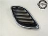 Front bumper lower grill 5336185