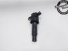 High voltage ignition coil 273012B100