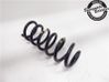 Muelle espiral trasero 55350F1CF0