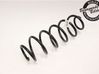 Rear coil spring 2116091