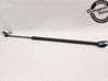 Tailgate strut 2065246
