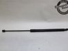 Tailgate strut 1683644