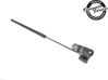 Tailgate strut 2440271