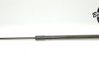 Tailgate strut 81770J7800