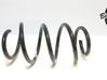 Front coil spring 2544892