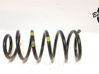 Muelle espiral trasero 5533007100