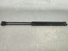 Tailgate/trunk strut/damper 