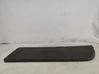 Front door trim (molding) 