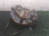 Front wheel hub spindle knuckle 
