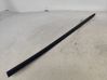 Front door trim (molding) 
