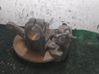 Front wheel hub spindle knuckle 