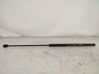 Front bonnet/hood damper/strut 