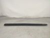 Front door trim (molding) 
