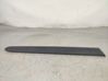 Front door trim (molding) 