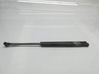 Tailgate/trunk strut/damper 