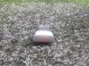 Botón interruptor de luz de peligro 