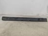Front door trim (molding) 