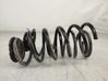 Rear coil spring 