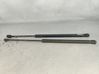 Tailgate/trunk strut/damper 