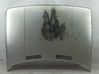 Motorhaube 