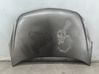 Engine bonnet/hood 