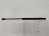 Tailgate/trunk strut/damper 51479870684