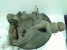 Rear wheel hub spindle/knuckle 