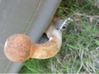 Juego de bolas de remolque 