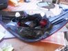 Rear/tail lights 