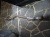 Muffler/silencer 
