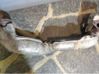 Muffler/silencer 