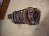 Front shock absorber with coil spring 