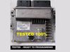 Engine control unit/module 9624801180