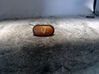 Front indicator light 7700822136