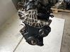 Engine M9R786