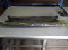 Radiator support slam panel 