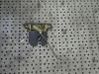 Tailgate/trunk/boot lock/catch/latch 8D827505