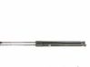 Tailgate/trunk strut/damper 5FA827550C