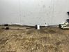Gear shifter/selector 31437884