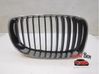 Front bumper upper radiator grill 