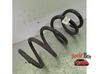 Rear coil spring 104447201E