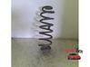 Muelle espiral trasero 25783732