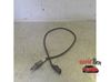 Lambda probe sensor 04E906262GG