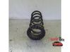 Rear coil spring 31255242