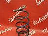 Front coil spring 