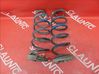 Rear coil spring 550209250R