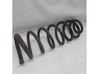 Rear shock absorber with coil spring 