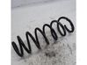Rear shock absorber with coil spring 