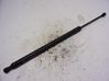 Tailgate/trunk strut/damper 8200219322